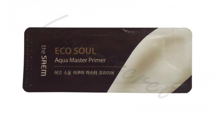 Пробник "Праймер увлажняющий" The Saem Eco Soul Aqua Master Primer