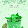 Крем для лица ночной с центеллой Ayoume Enjoy Mini Night Cream
