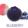Бальзам для губ Черника Tony Moly Mini Berry Lip Balm Blueberry